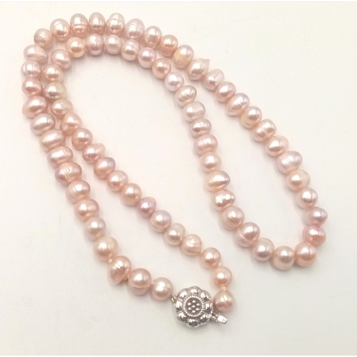 1046 - A Cultured Pink Pearl Necklace with Silver Clasp. 52cm. ML17