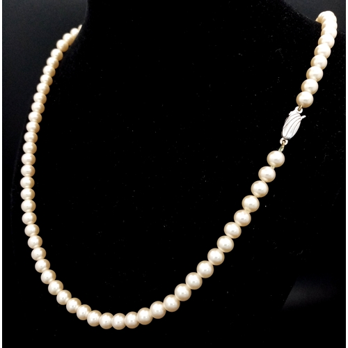 1031 - A Vintage Pearl Necklace with Silver Clasp. 56cm.