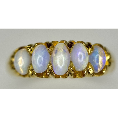 1124 - An 18K Yellow Gold Five Stone Opal Ring. Wonderful colour-play. Size K. 3.1g. NL19/c2205.