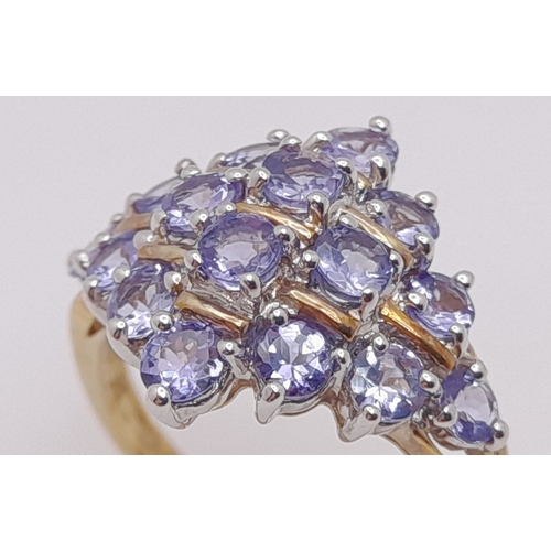 251 - A Beautiful 9 Carat Yellow Gold and Tanzanite Set Cluster Ring Size M. The Ring is set with Sixteen ... 