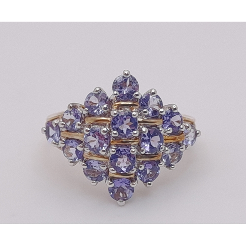 251 - A Beautiful 9 Carat Yellow Gold and Tanzanite Set Cluster Ring Size M. The Ring is set with Sixteen ... 