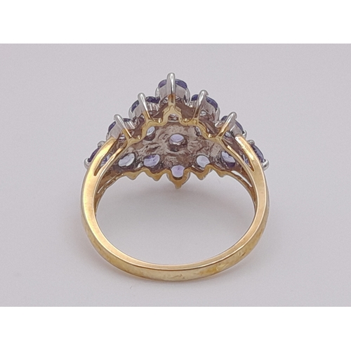 251 - A Beautiful 9 Carat Yellow Gold and Tanzanite Set Cluster Ring Size M. The Ring is set with Sixteen ... 
