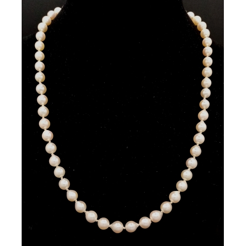 328 - An 18K Gold and Cultured Pearl Necklace. 7/8mm pearls. 44cm. 21.6g. MT17
