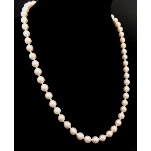 328 - An 18K Gold and Cultured Pearl Necklace. 7/8mm pearls. 44cm. 21.6g. MT17