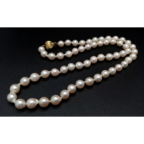 328 - An 18K Gold and Cultured Pearl Necklace. 7/8mm pearls. 44cm. 21.6g. MT17