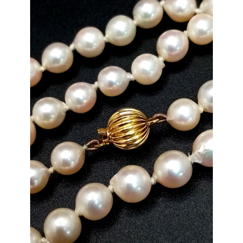 328 - An 18K Gold and Cultured Pearl Necklace. 7/8mm pearls. 44cm. 21.6g. MT17
