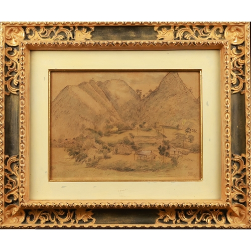 Lot 1171      