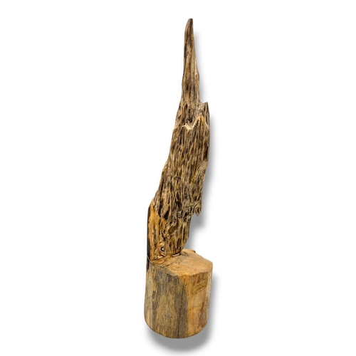 Lot 1199      