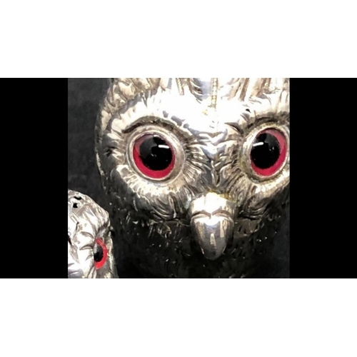 130 - 19th Century antique English silver antique original four piece owl cruet set by George Richards and... 