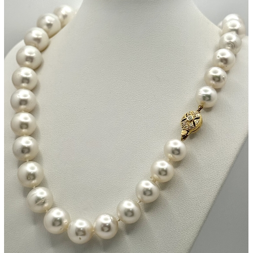 58 - A Gorgeous South Sea Pearl Necklace with a Decorative 18K Gold and Diamond Encrusted Clasp. 12/15mm ... 