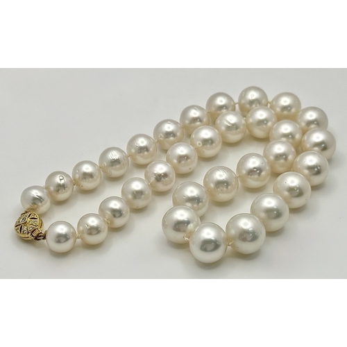 58 - A Gorgeous South Sea Pearl Necklace with a Decorative 18K Gold and Diamond Encrusted Clasp. 12/15mm ... 