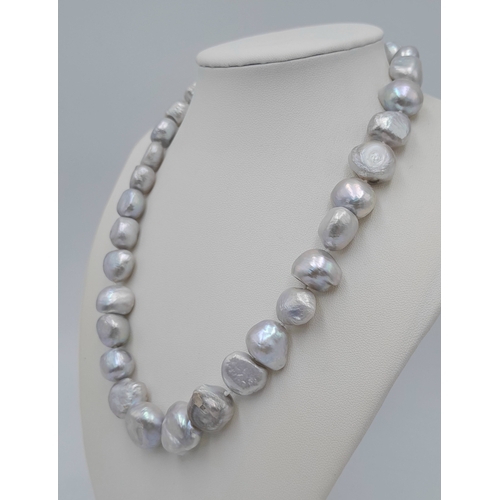 1244 - A Silver Tone Freshwater Irregular Shaped Pearl Necklace with 925 Silver Clasp. Pearls - 10/12mm. 42... 