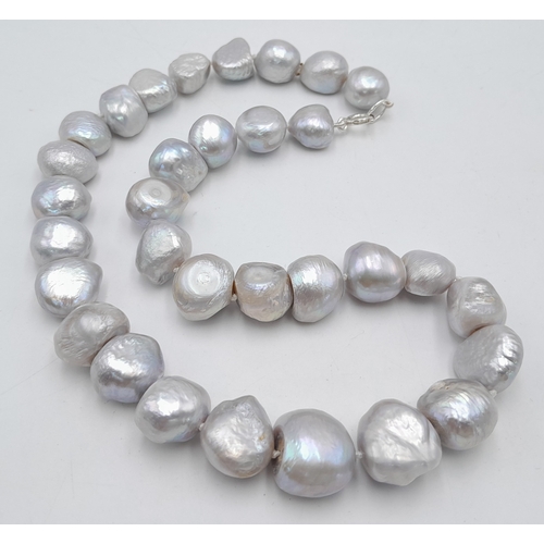 Lot 1244      