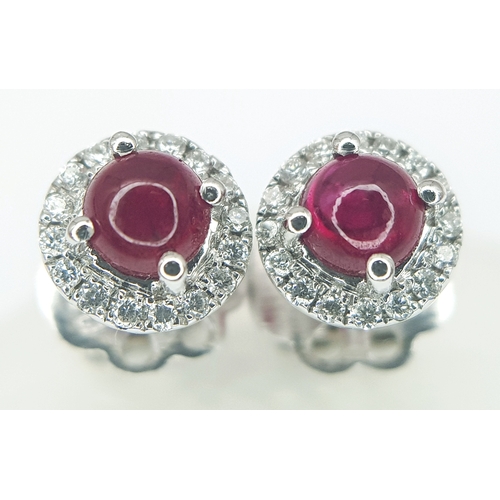Lot 1041      