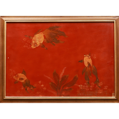 Lot 527       