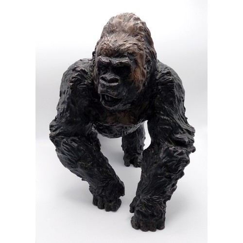 A Wonderful Vintage Bronze of Guy the Gorilla by William Timyn (1901-1990). Signed by the artist on inner leg. 39cm length x 25cm widest point by 33cm highest point. 14.7 kilos. The sculpture shows Guy on all fours with head turned to the right. Guy was a Western lowland gorilla born on 30th May 1946 who arrived on London from Paris Zoo on Guy Fawkes night, 5th November 1947. Winning bidder is advised to pick up from Cadmore HQ.