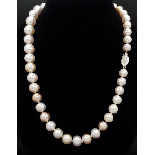 59 - A White, Gold and Pink Overtone freshwater Pearl Necklace (possibly Akoya). Beads 8-12mm. 18K White ... 