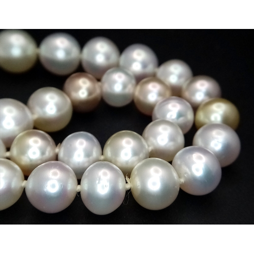 59 - A White, Gold and Pink Overtone freshwater Pearl Necklace (possibly Akoya). Beads 8-12mm. 18K White ... 