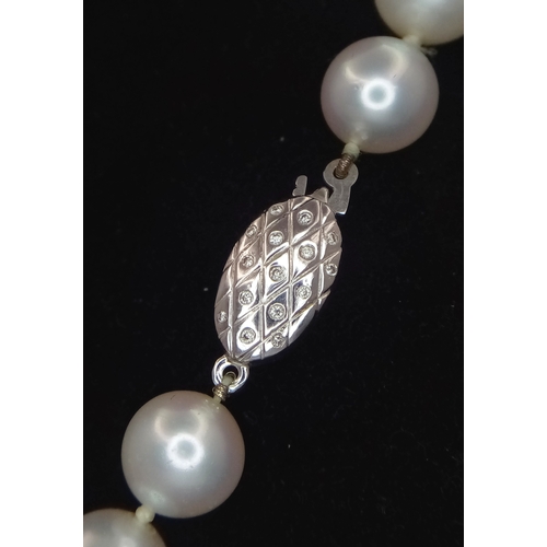 59 - A White, Gold and Pink Overtone freshwater Pearl Necklace (possibly Akoya). Beads 8-12mm. 18K White ... 