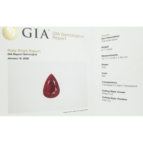 51 - A Stunning GIA Triple Certified 18K Yellow Gold Ruby and Diamond Cocktail Ring. An 8.77ct natural pe... 