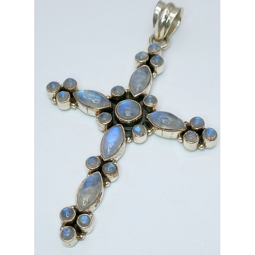 Lot 586       