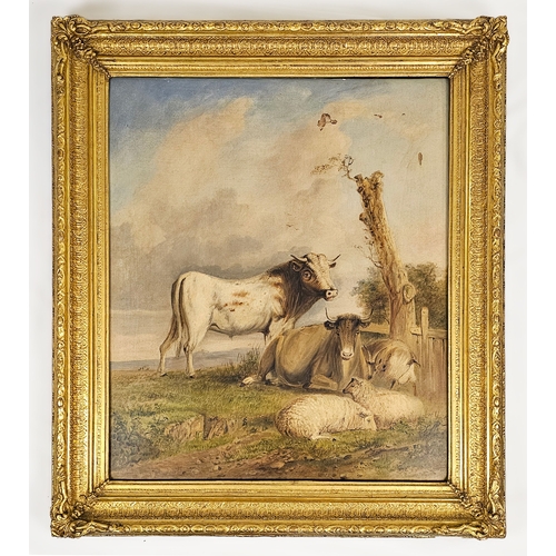 Lot 40        
