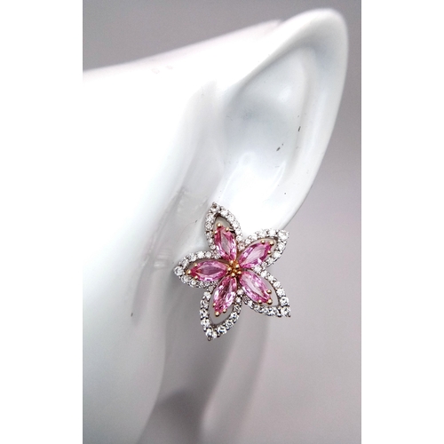 116 - A Pair of Spellbinding, Italian Designer Picchiotti, Madagascan Sapphire and Diamond Earrings in Sta... 