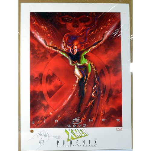 211 - A Limited Edition Signed and Sketch (large) Artwork Print depicting X-Men Phoenix by Jospeth Michael... 