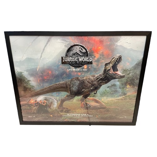 390 - Jurassic Park. UK Quad Film Poster. Framed.