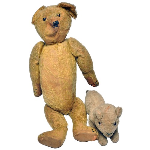 373A - Duo of early woodwool bears c1915 to include a golden mohair teddy bear, height 20”(51cm). Boot butt... 