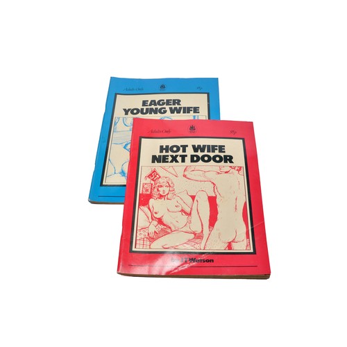 A group of adult vintage magazines and publications to include