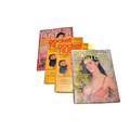 A group of adult vintage magazines and publications to include Pocket ...
