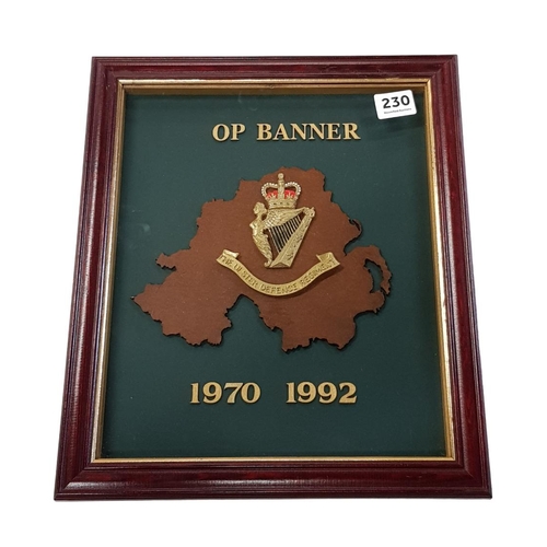 230 - FRAMED UDR PLAQUE