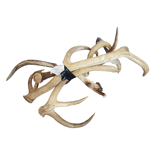 1 - LOOSE ANTLERS SET OF 4