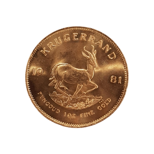 577 - 1981 GOLD KRUGGERAND