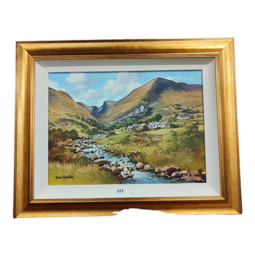 223 - DENIS THORNTON OIL ON CANVAS NEAR WATERFOOT  54 X 40CMS