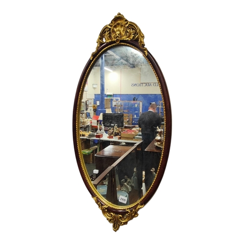 260 - OVAL MIRROR