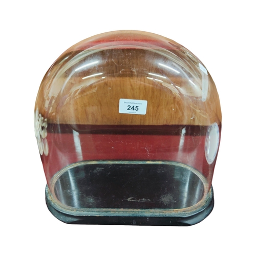 245 - VICTORIAN DOME ON STAND PERFECT CONDITION