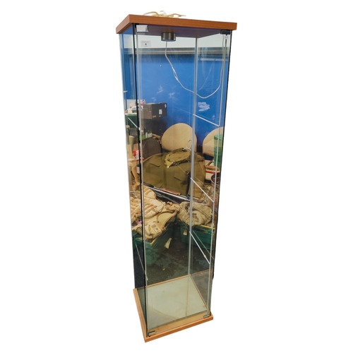 4 - GLAZED DISPLAY CASE WITH LIGHT