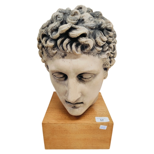 17 - LARGE CLASSICAL BUST