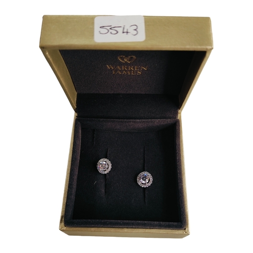 630 - SILVER CRYSTAL EARRINGS