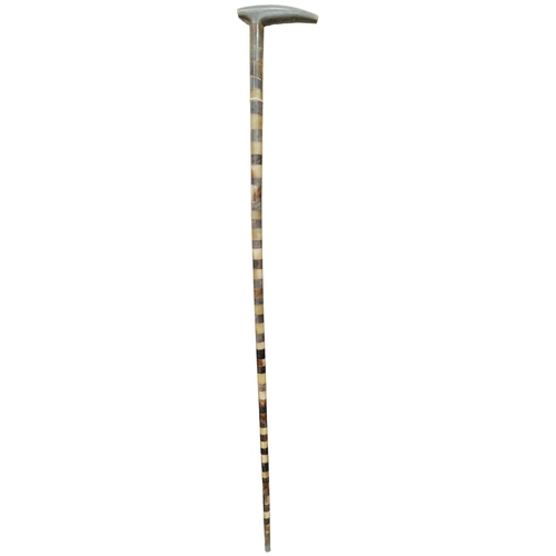 71 - VINTAGE BOVINE SECTIONAL WALKING CANE