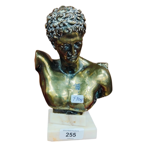 255 - SIGNED BRONZE BUST A/F