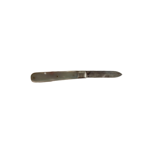 341 - SILVER & MOTHER OF PEARL FRUIT KNIFE