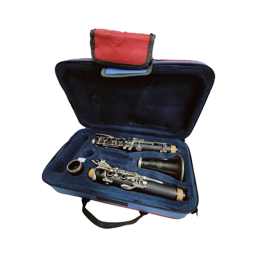 60 - CLARINET IN CASE