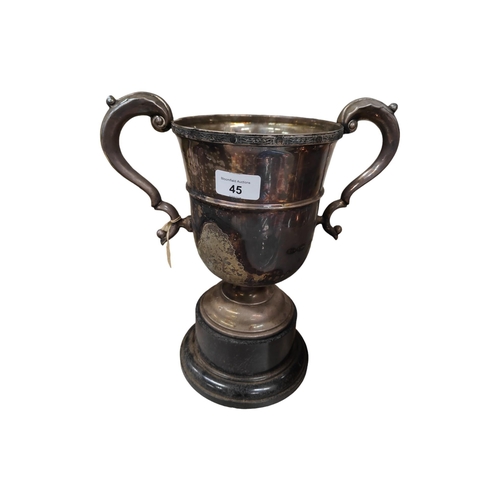 45 - LARGE EPNS TROPHY