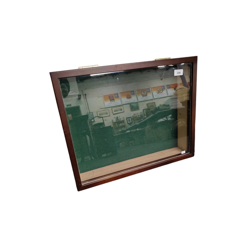 206 - GLAZED DISPLAY CASE 53cm x 43cm