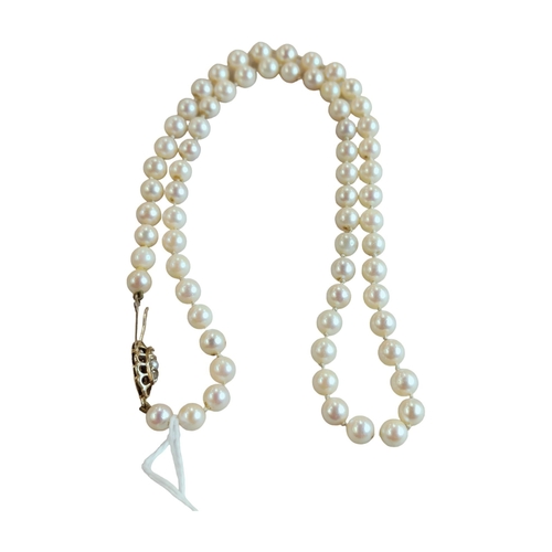 341 - PAERL NECKLACE WITH 9 CARAT GOLD CATCH SET WITH SEED PEARL