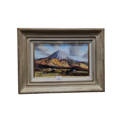 22 - G.O'BRIAN - OIL ON CANVAS - ERRIGAL 39cm X 24cm