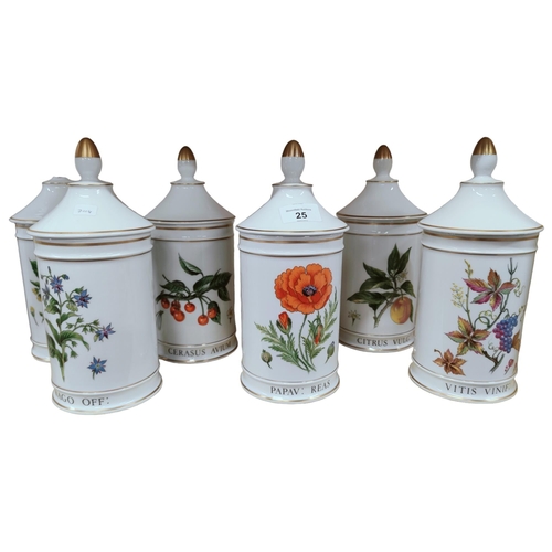 25 - SET OF 6 APOTHECARY JARS WITH LIDS